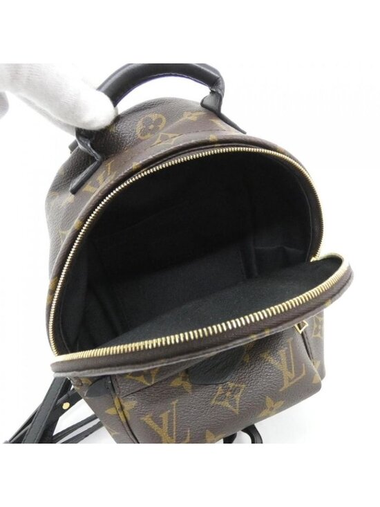 Louis Vuitton Monogram Palm Spring Backpack Mini Sac main image 8